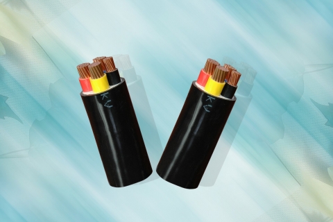 CVV − 0,6/1 kV CÁP ĐIỆN LỰC, RUỘT ĐỒNG, CÁCH ĐIỆN PVC, VỎ PVC