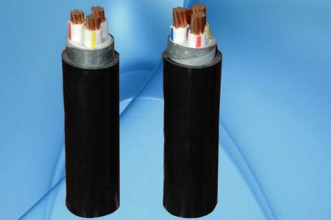 CVV/DATA − 0,6/1 kV & CVV/DSTA − 0,6/1 kV CÁP ĐIỆN LỰC, RUỘT ĐỒNG, CÁCH ĐIỆN PVC, GIÁP BĂNG KIM LOẠI, VỎ PVC