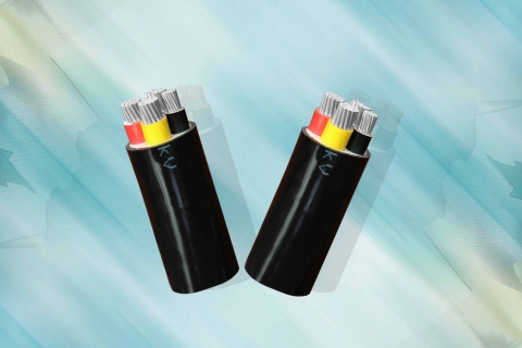 AVV − 0,6/1 kV CÁP ĐIỆN LỰC, RUỘT NHÔM, CÁCH ĐIỆN PVC, VỎ PVC